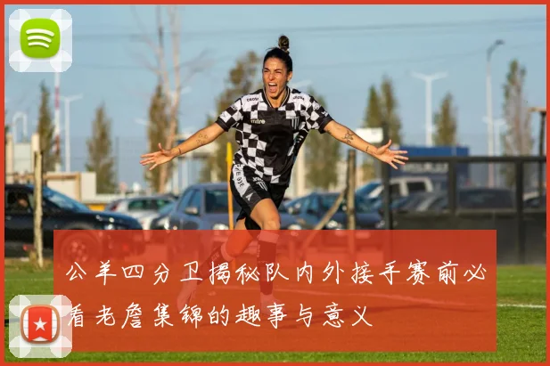 公羊四分卫揭秘队内外接手赛前必看老詹集锦的趣事与意义