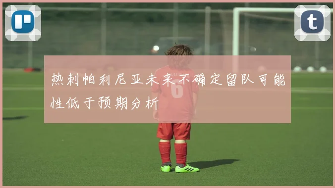 热刺帕利尼亚未来不确定留队可能性低于预期分析