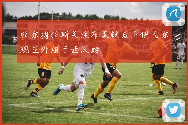 帕尔梅拉斯关注布莱顿后卫伊戈尔现正外租于西汉姆