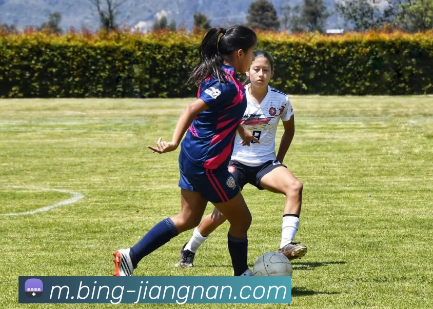 江南体育平台生态图